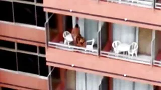 কমপ্লেক্স ছাড়া অংশীদারদের ক্যামেরার বাংলাদেশি চোদাচুদি সামনে একটি ত্রয়ী শুরু